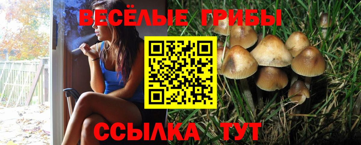 Сургут  Псилоцибиновые грибы MAGIC MUSHROOMS  Галлюциногенные грибы Magic Shrooms  Вход с VPN 